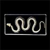 LAdrfT Esemplare di vero serpente di scheletro di animali, fermacarte campioni scientifici in blocco acrilico per l'educazione scientifica, 16 x 7,8 x 2 cm