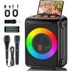 HWWR karaoke con 2 microfono con, 60W Portatile Cassa Bluetooth 5.3 per Adulti, Funzione di Registrazione, Ideale per Riunioni di Famiglia,Supporta Ingresso Scheda TF/USB/AUX, Colore