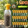 APWIKOGER 1-10 Pezzi Trappola per Insetti da Appendere per Mosche della Frutta, Anti-Zanzare, Cattura Insetti Nocivi, Trappole in Plastica per Mosche per Fattoria, Giardino, Frutteto, Controllo Parassiti