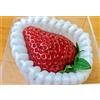 Fragole giapponesi "Sembikiya Queen" 10 semi
