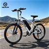 Varun Bicicletta Elettrica per Adulti Varun, Mountain E-Bike da 24 Pollici, Batteria 36V 7.8Ah, Autonomia 40KM, Bici Elettrica da Strada per Ciclismo Outdoor e Montagna