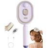 MEEVINWH Electric Steam Brush, Electric Steam Brushs For Hair,Rechargeable Steam Hair Straightener With Water Spray,USB-C Rechargeable Wet Dry Hair Care For Women(Purple)
