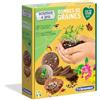 Clementoni - 52493 - Scienza e Gioco - Play for Future - Bombe di Semi - Gioco di Botanica per Bambini dai 6 Anni in su - Tutto Il Necessario per Imparare e sviluppare la Sua Mano Verde