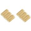 PARENCE.- Set di 2000 Stuzzicadenti in bambù - Uso Quotidiano, Igiene Dentale, Plettri per Aperitivo - Bulk Box