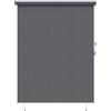 vidaXL Tenda a rullo Antracite 200 x 250 cm Tessuto e Alluminio, Tenda a rullo rettangolare moderna, ombra per patio, giardino, copertura per balcone, blocco sole e calore
