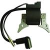 C·T·S Bobina di accensione per Shindaiwa B45 C35