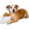 Dingo Waldemar Rutkowski Giocattolo di Peluche Tortina con Orsetto e Cappellino di Compleanno, con Squeaker all'Interno, Morbido e Leggero per il Gioco Interattivo con il Cane (Z30045)