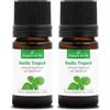 La Compagnie des Sens BASILICO TROPICALE BIO - 5mL - Olio Essenziale di Qualità Premium - 100% Puro, Naturale, Garantito ChromaCert® - Chemiotipizzato & Integrale (Confezione da 2)