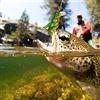 Jelquix Esca per Cavalletta con Gancio Triplo Affilato da 5 Pezzi per Esche da Pesca per Insetti, Durevole e Resistente Alla Corrosione, Perfetta per i Pescatori
