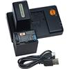 QIAO JIN LIN NP-FH100 Batteria al litio (2 pacchi) e caricatore doppio compatibile con Sony DCR-DVD404E,DCR-DVD405,DCR-DVD405E,DCR-DVD406 and more
