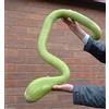 Generic Semi 25 Zucchine Semi Arrampicata, Trombocino, Zucchetta Rampicante, Zucca Trombone Italiana