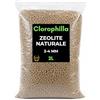 CLOROPHILLA Zeolite Naturale 2-4 mm Premium Quality - Substrato Minerale Vulcanico Naturale per Piante, Bonsai, Succulente e Orto - Alta Porosità e Drenaggio Professionale (2 Litri)