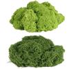 HexinYigjly Muschio artificiale da 100 g per vasi per piante da interni, muschio finto per fioriere da interni, muschio finto naturale verde scuro e verde chiaro, erba finta per artigianato, arti paesaggistiche