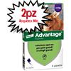 ELANCO ADVANTAGE SPOT ON GATTI 0,8ML 4 PIPETTE - SUPERIORE A 4 KG - SCADENZA 07-2029 [PREZZO A CONFEZIONE - acquisto min. 2 confezioni]