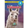 Ashley Lee Jared Siemens Llamas (Tascabile) Animals That Change the World!