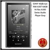 Sony Walkman NW-A307 64 GB lettore audio Hi-Res serie A300 grigio nuovo Giappone