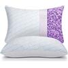 WISHSMILE Zastion - Set di 2 cuscini rinfrescanti in memory foam per dormire freddi, con cerniera, rigidità regolabile per chi dorme caldo, laterale, schiena e stomaco, confezione da 2, 20 x 30 cm