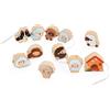 Janod - Perle da Infilare - Tema Pecore - Giocattolo Multisensoriale - 11 Perle in Legno per Bambini + 2 Cordoncini - Stimola la Manualità - Giocattolo in Legno FSC - dai 24 Mesi, J03312