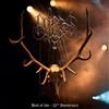 Belenos Best of Live: 22nd Anniversary (CD) Album