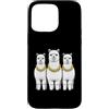 Cool 3 Hip Hop Trio Street Gold Chain Fu Custodia per iPhone 15 Pro Max Alpaca Lama Rap Old School Retro Streetwear 80s 90s Tre