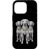 Cool 3 Hip Hop Trio Street Gold Chain Fu Custodia per iPhone 16 Pro Vizsla Dog Rap Old School Retro Streetwear anni '80 '90 Tre