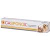 SHEDIR PHARMA Srl Unipersonale Caspongil pasta 30 g