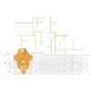 LINEA D Strisce misurazione glicemia linea d oro 50 pezzi - LINEA D - 934480029