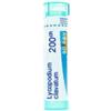 BOIRON SRL LYCOPODIUM CLAV*200CH80GR BO