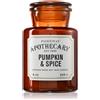 Paddywax Apothecary Pumpkin Spice 226 g