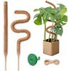 Garden Sage Bastone per Piante Rampicanti, GardenSage 2 x 60 cm Pieghevole Palo Muschiato Monstera di Cocco per Sostegno Piante da Interno e Rampicanti