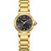 CITIZEN Orologio analogico al quarzo da uomo con cinturino in acciaio inox EM1132-88H, gold, Bracciale