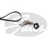GATES Kit Cinghie Poly-V GATES K016PK893XS