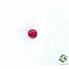 SBI Gems 3.50 MM Certificato Rubino Naturale Taglio Rotondo 0.24 Cts Mozambico Loose