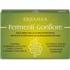 FERMENTI GONFIORE 20 CAPSULE GASTRORESISTENTI