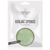 FDE KONJAC SPONGE TE' VERDE 1 PEZZO