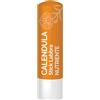 STICK LABBRA NUTRIENTE CALENDULA 4 ML