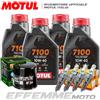 Motul + Hiflo + NGK Tagliando HONDA Hornet 900 2002 2003 2004 2005 2006 (7100 10W40 Filtro Candele)