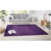 Hanse Home 101150 - Tappeto, 80 x 150 cm, Colore: Viola