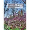 Yoshua Bengio Aaron Courville Ian Goodfellow Deep Learning (Copertina rigida)
