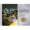Titan Books Harry Potter and the Goblet of Fire Postcard Book (Tascabile)
