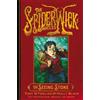 Tony DiTerlizzi Holly Black The Seeing Stone (Tascabile) Spiderwick Chronicles