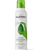 Mantova Basilico Spray in Olio Extra Vergine di Oliva 100ml - Olio Spray italiano - Sprayleggero - 100% Naturale,100% Leggero, 100% Facile - Con lo spray risparmi fino al 90% di prodotto