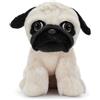 Zappi Co Andy il Carlino di peluche (22 cm) - Amico Carlino - Morbido e coccoloso, riciclato - Amico paffuto da coccolare