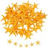 QUARKZMAN 60Pcs Stelle Marine per, 0.4-0.8 Piccole Stelle Marine Naturali Conchiglie all'Ingrosso PerParty A Tema Spiaggia Matrimonio Casa Vaso DIY, Giallo