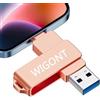 WIGONT 【Nessuna APP】 Chiavetta USB 256 GB, WIGONT Chiavette per lphone pen drive per i0S/PC/Tipo C. Chiavetta USB 3 in 1 per Memorizzare più Foto e Video. Con Adattatore Separato di Tipo C.