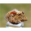 Granato Grossulare 9 Grammi - Sierra De Cruces, Coahuila, Messico