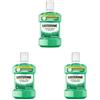 Listerine Difesa Denti e Gengive, Colluttorio a Tripla Azione, Denti Forti e Gengive Sane, Menta Fresca, 1 Litro (Confezione da 2)