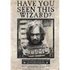 ABYSTYLE HARRY POTTER Wanted Sirius Black Donna Poster Multicolore Carta