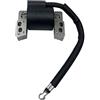 SAANICH Bobina di accensione adatta for Briggs&Stratton 695711 802574 493237 796964 492416 parti di attrezzi da giardino tagliaerba