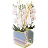 VESTA Profumatore d'ambiente Orchidea Livinia - Fragranza Anima by Chiara Firenze - Bianco - 200 ml - Cristallo acrilico - Lavorazione artigianale - Idea regalo - Made in Italy
